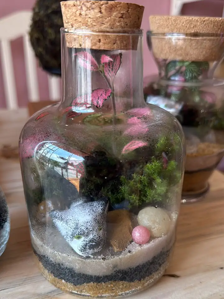 Terrário com fitônia, musgo e um gatinho de enfeite